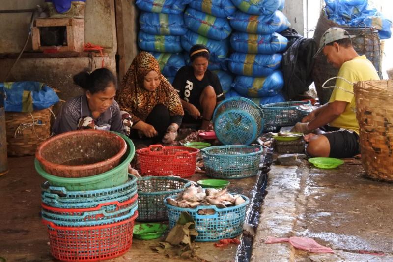 Residents of Kampung Lumpur cutting and processing fish and other seafood.