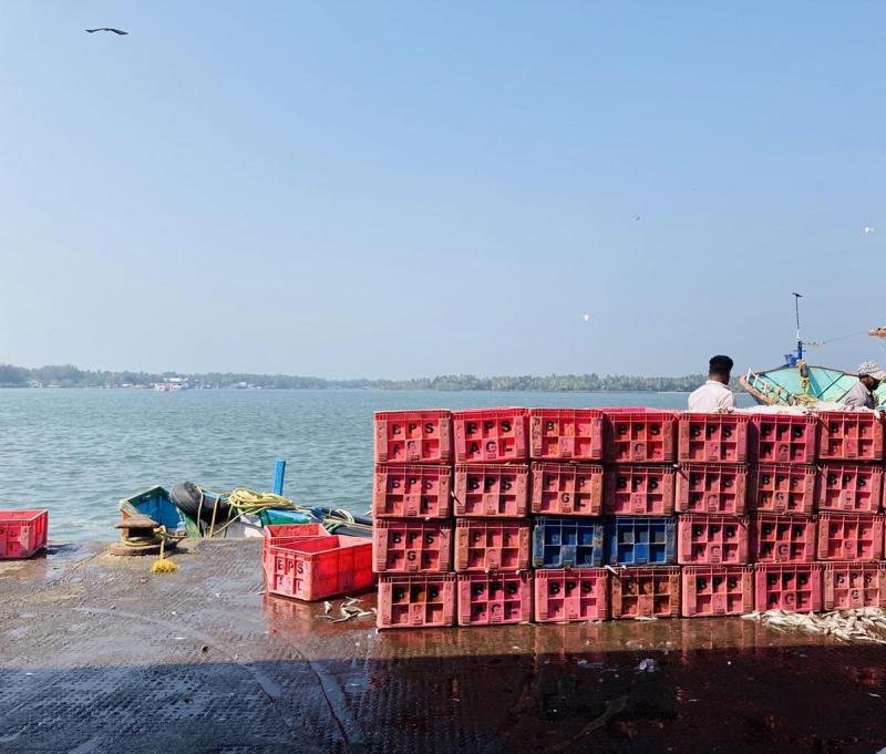 A scene from a fishing village in Kerala.
